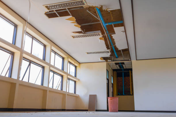 Best Local water damage restoration  in Strasburg, VA