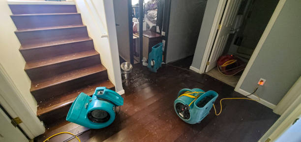 Best Residential water damage restoration  in Strasburg, VA