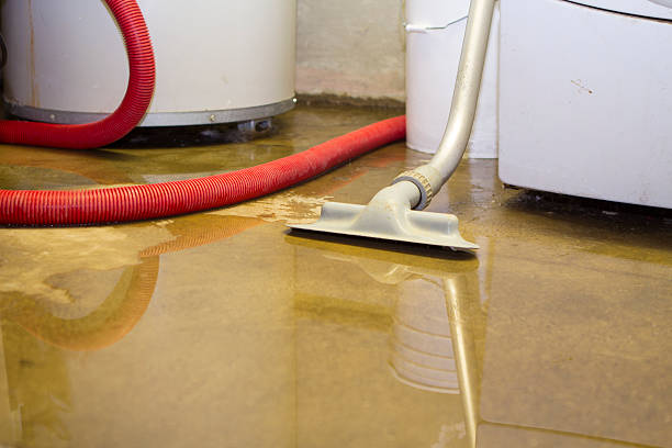 Best Basement water damage restoration  in Strasburg, VA