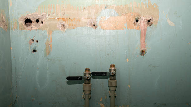 Best 24/7 water damage repair  in Strasburg, VA
