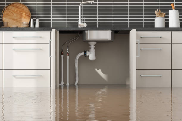 Best 24-hour water damage restoration  in Strasburg, VA
