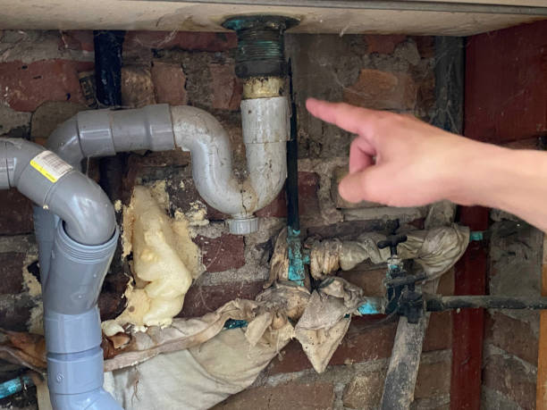  Strasburg, VA Water damage restoration Pros