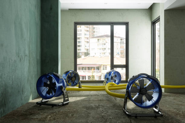 Best Ceiling water damage repair  in Strasburg, VA