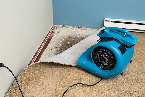 Water damage restoration mold remediation in Strasburg, VA